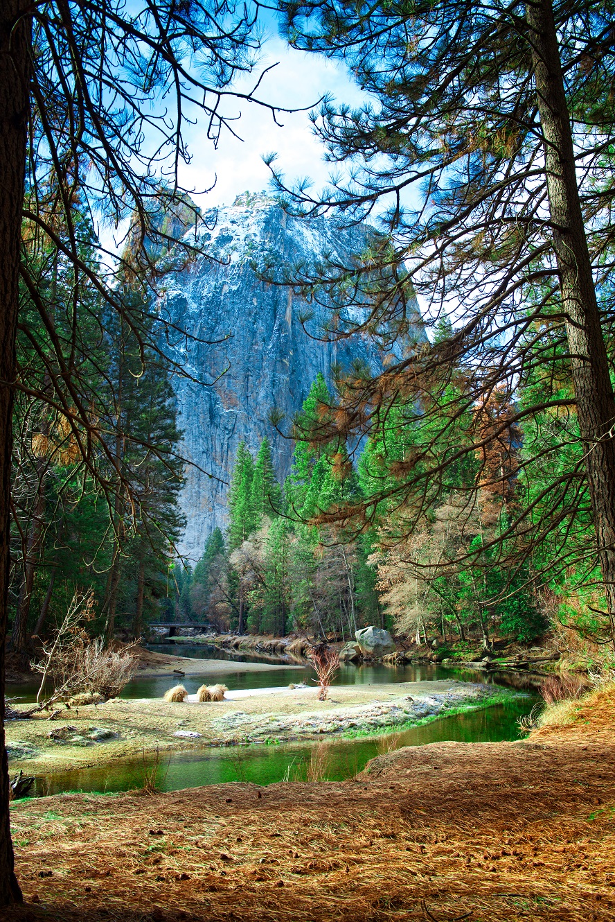 Yosemite – More Than A Day Trip – Splash Magazines